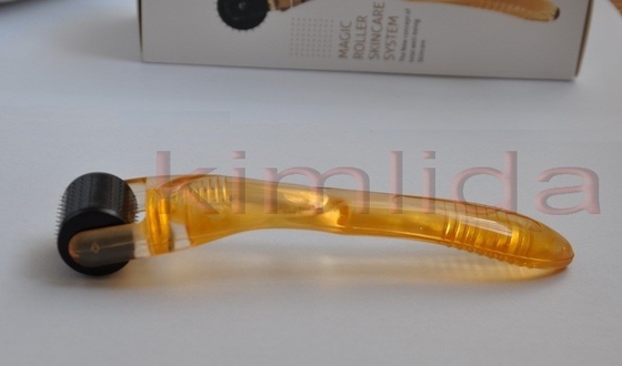 0.2mm κύλινδρος ΑΜ Derma Microneedle 0.25mm ή 0.3mm - 3.0mm για την αποκατάσταση τρίχας